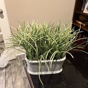 Farmhouse Decor